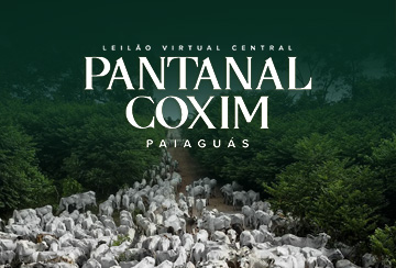 LEILÃO VIRTUAL CENTRAL PANTANAL COXIM